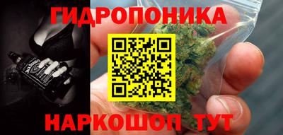 дмт Обь