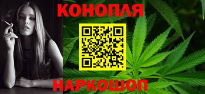 дмт Обь