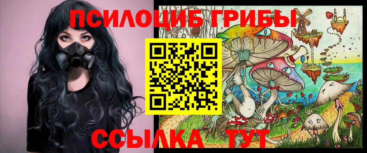 Ступино  Галлюциногенные грибы Psilocybe  Вход с VPN 