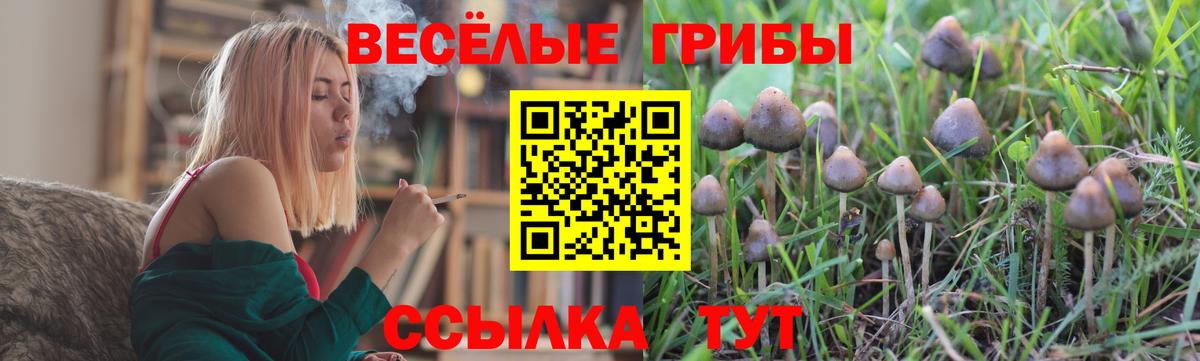 Галлюциногенные грибы MAGIC MUSHROOMS Ступино